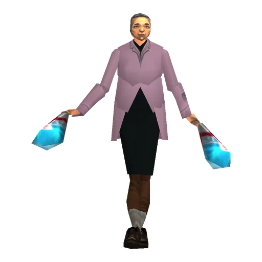 Shopper2