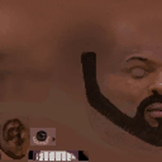 Bald & Beard
