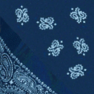 Blue Rag Back