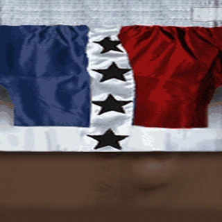 Boxing Shorts