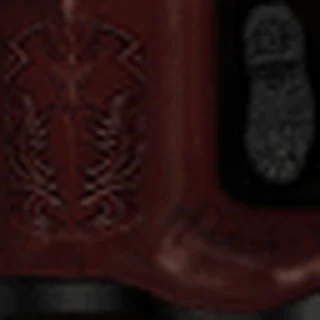 Cowboy Boots (cowboyboot2)