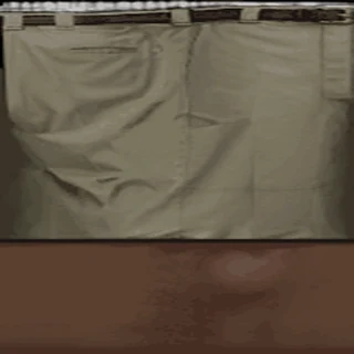 Beige Shorts