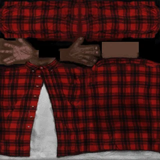 Plaid Shirt