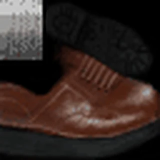 Brown Shoes