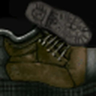Hiking Boots