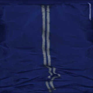 Blu Track Pants