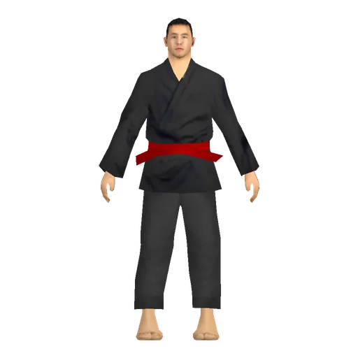 Asian young male, karate student