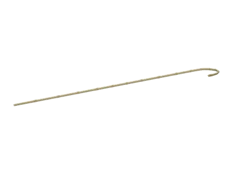 Cane